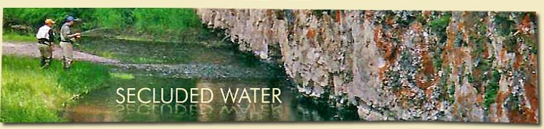 Two anglers on secluded creek next to canyon wall covered with plants, orange lichens